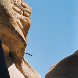 Red Canyon #9