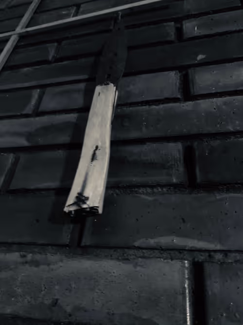 Item #21058230940437742586650391575338221932342665194758349150916503894164634599425 Media