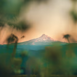 #009 Vineyard Sunset of Mt.Hood