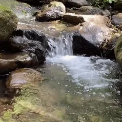 Life's waters