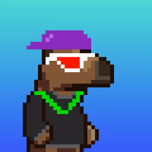 Crazycapybaraclub