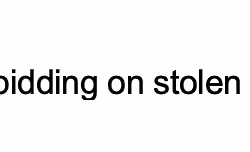 STOLEN ITEM
