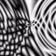 15788716269792817091517444034975324371579435356184901086933549120539936686081