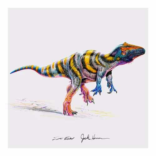 Jackhornersdinosaurs