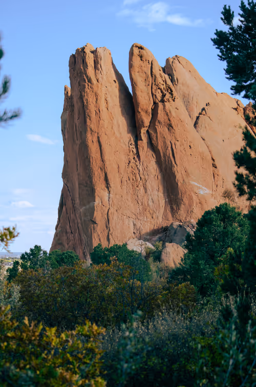 Item #83625231168864970045539605410069256261495624931970233410894617940865889337345 Media