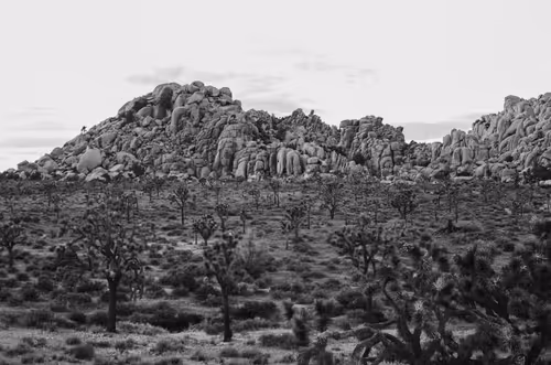 Item #43855545179559374949578343538533146521052449225092810466716167748544307920897 Media