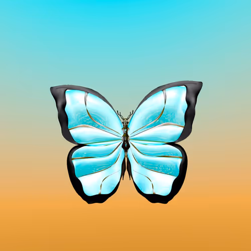 Morpho Mariposa Extra Solar 