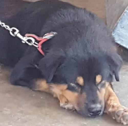 Item #56055091060271351536523847984853154360378800009370414984463609037179936833537 Media