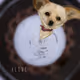 20607027616627152603701137677934219788529204069855921519829667691176078082049