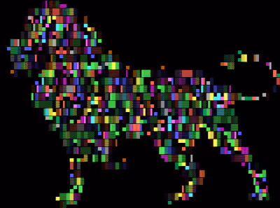MP59 Collection
