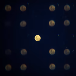 MOON STRUCK