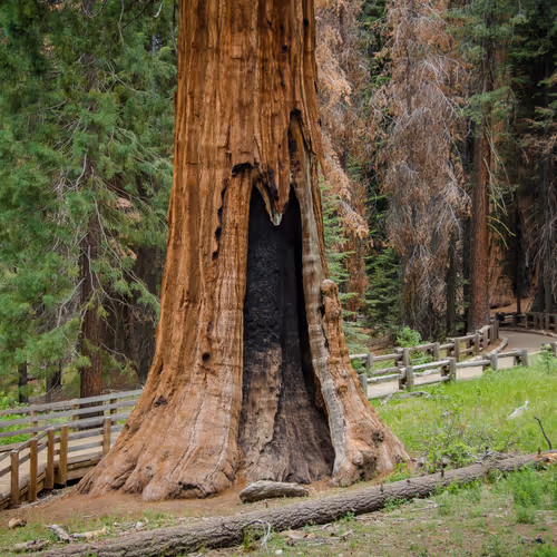 2560167528831681655449026720249695031072996054742885035460294056457470476289