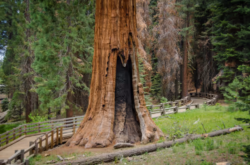 Item #2560167528831681655449026720249695031072996054742885035460294056457470476289 Media