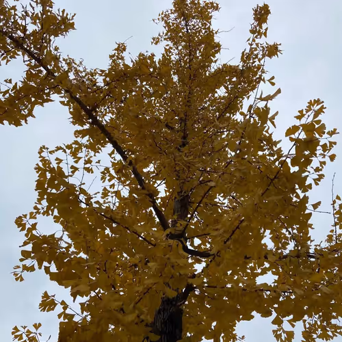 livetosee Collection