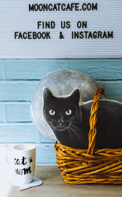 Item #12030096268944832383519200869739243025731728617049659890117429842433330380801 Media