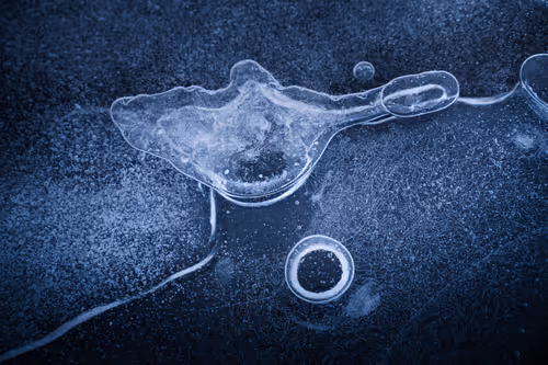 Item #55403408665547609189092792610750107765895786822855229620827418997637878120449 Media