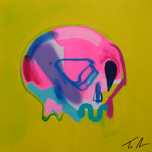 Memento Mori 100 Skulls By Tim Fowler