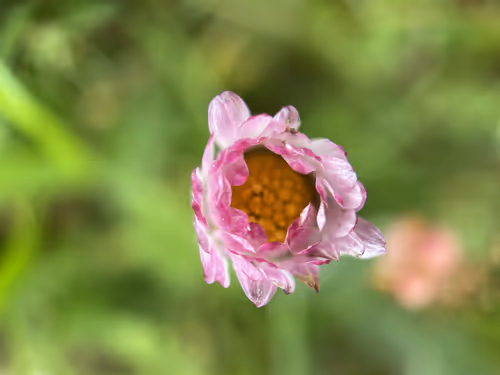 Item #101798116254510798330486236990451841615541533753866395116378150898322181718017 Media