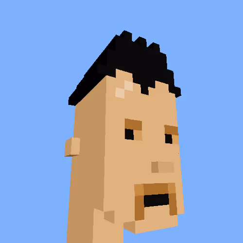 PunkVoxels #2612