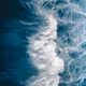 Ocean Raw