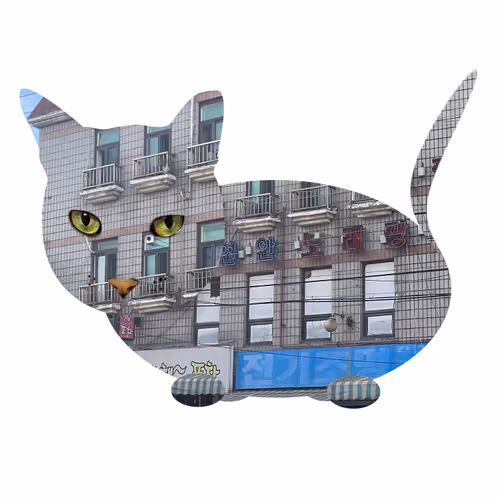 Item #7075100801842414929541159204983769780243264764604993181312715148878592081921 Media