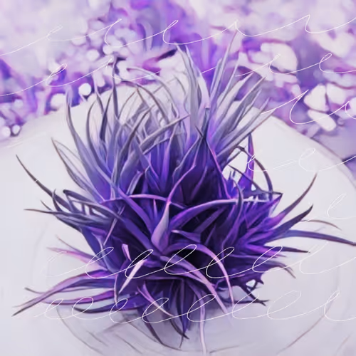 Item #8607677958191038044004830040679912821884152676576415147527512956296065187841 Media