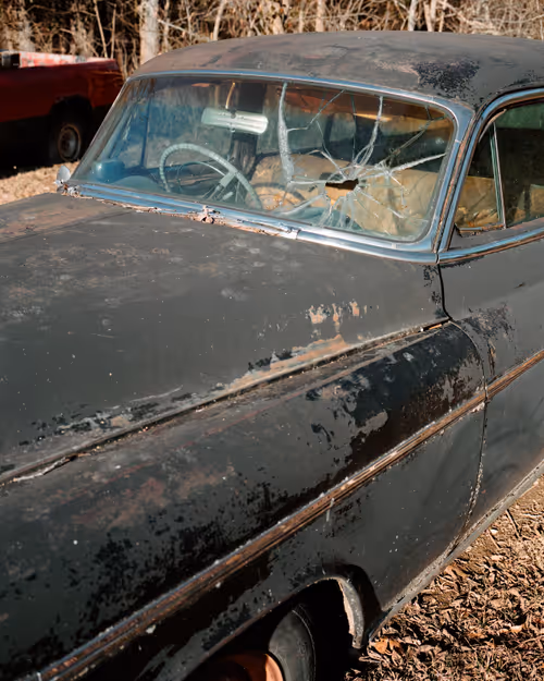 Item #84024337187978620715230419621117726226038651953477556812325436888618071228417 Media