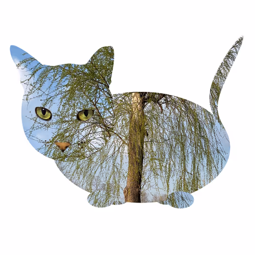 Item #7075100801842414929541159204983769780243264764604993181312715081808382787585 Media