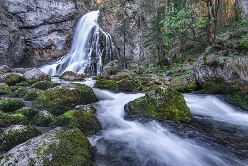 Item #31784539209812987338008238501801476985053436270199177464960010512553583050753 Media