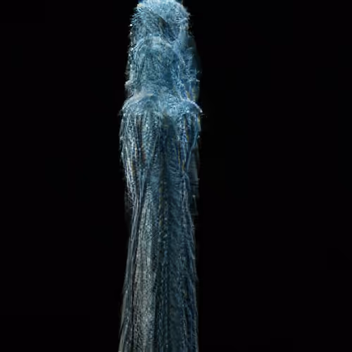 Item #81423580408588551200801073682850784470757564812203159627046902702180440997889 Media