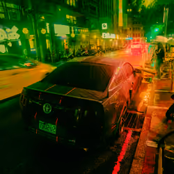 Mustang In The Rain