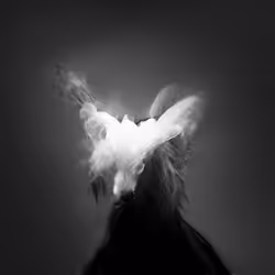 14102882077376408625563496511892199093358336645069197561900844747430549258241