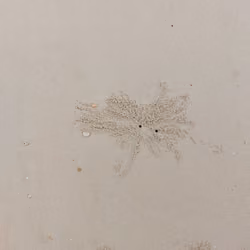 Unique Sands #13