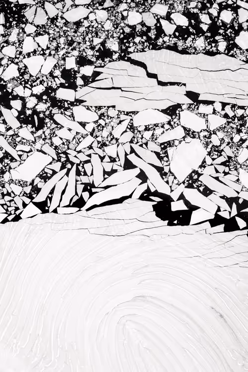 Item #61142205318552775455967982121014168485282281770943542399598313887261127606273 Media