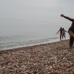 Brighton #100