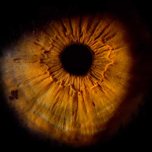 Item #105836017771423557183931558277920297823919466206112556630061826392787290947585 Media