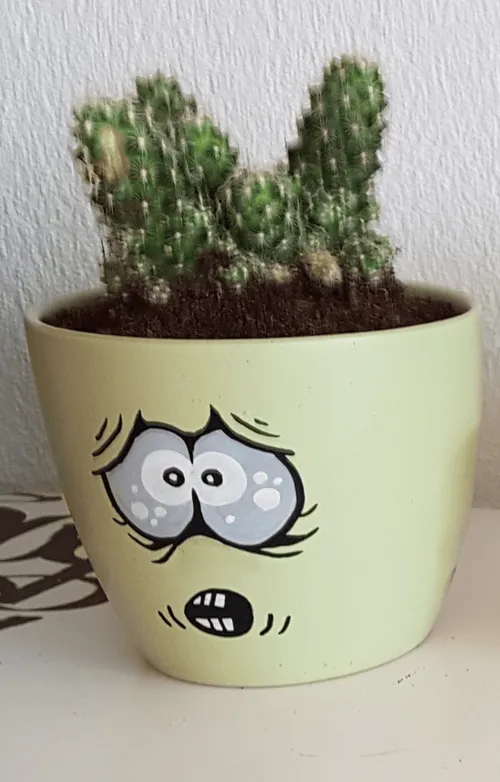 Item #70798335835530233629197068738528943663226093834277262231654145122332911337473 Media