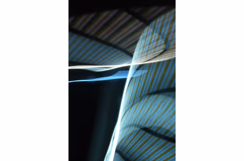 Item #89720646548455089969674592271052720382662226385340746960429332616647412809729 Media