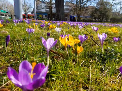 Item #104376002949691435372186332922329426885438855104179935790586764285069125222401 Media