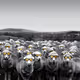 3693024586746700278998824805369306210756867027536066220420398160210330386433
