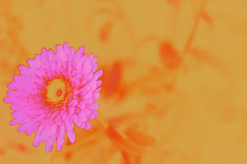 Item #27434377377013038178664737441891876800279773627045091571206927097819236925441 Media