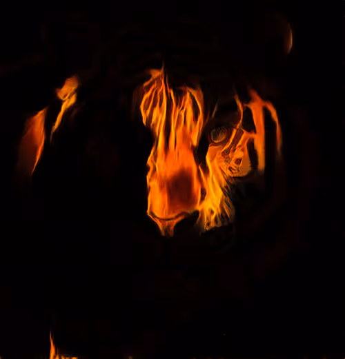 Item #46935663379106642088571545476757153786473481129897181517748081469036985057281 Media