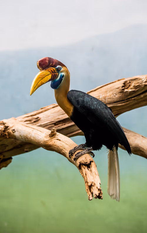 Item #95979719435638396747386199908027492606241793835179361379046606510406502449153 Media