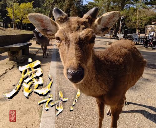 Item #102967229630208760737688806604411354727385978550035448281008295710329852133377 Media