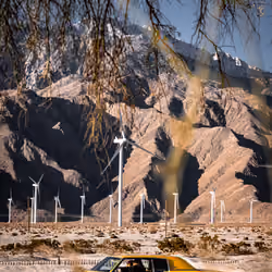 Desert Rides