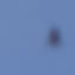 19624833753065134502322523397661449592340320591510987069321211816905461989377