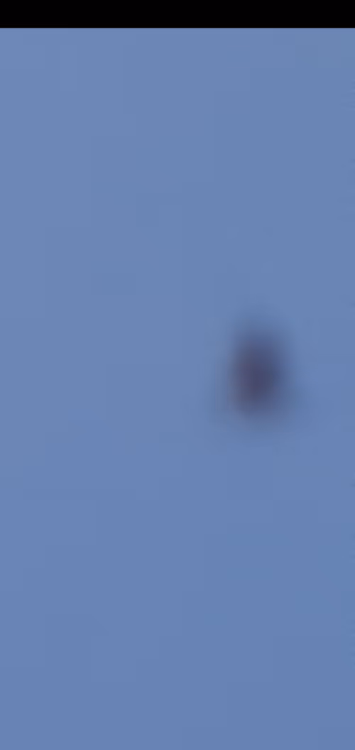 Item #19624833753065134502322523397661449592340320591510987069321211816905461989377 Media