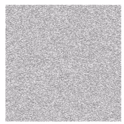Rare Generative