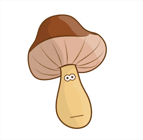 Item #82793807533074803550559074412293794782293997573157595909210745687473691557889 Media