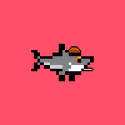 SharkWeird #380